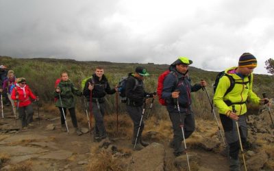 10 Days Lemosho route Kilimanjaro Trekking