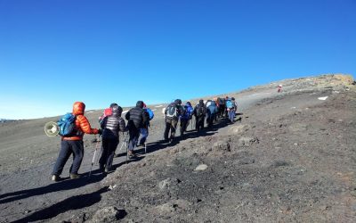 9 Days Machame Route Kilimanjaro Trekking