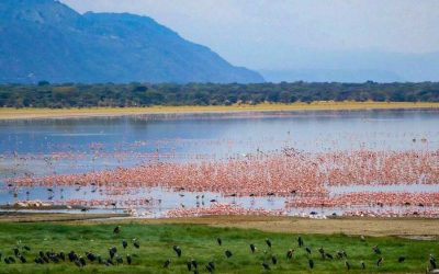 Lake Manyara National Park