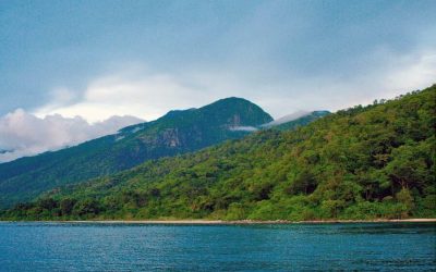 Mahale National Park