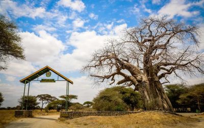 Tarangire National Park