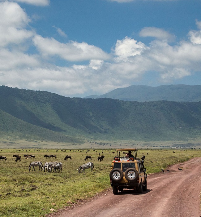 Ngorongoro Crater Safari