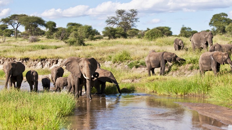 Tarangire National Park