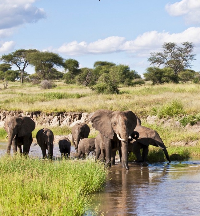 Tarangire National Park