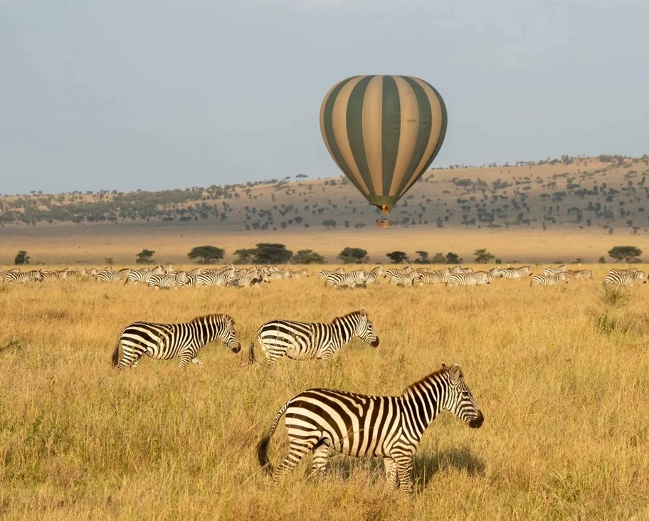 Tanzania Safari Trip
