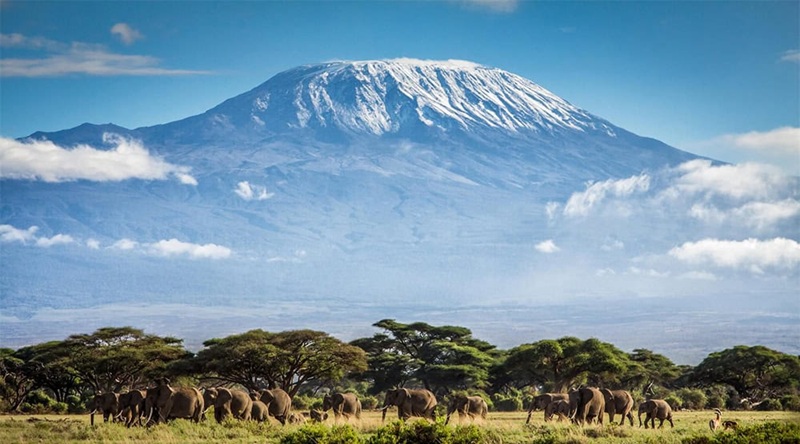 Kilimanjaro Climbing Tanzania