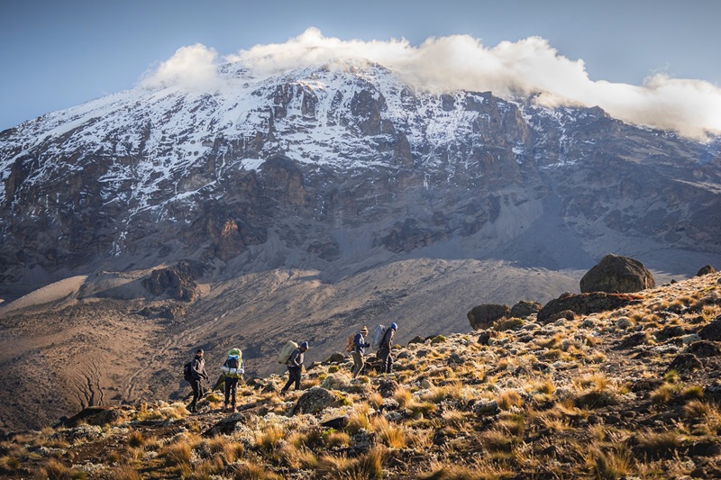 Climb Machame Route