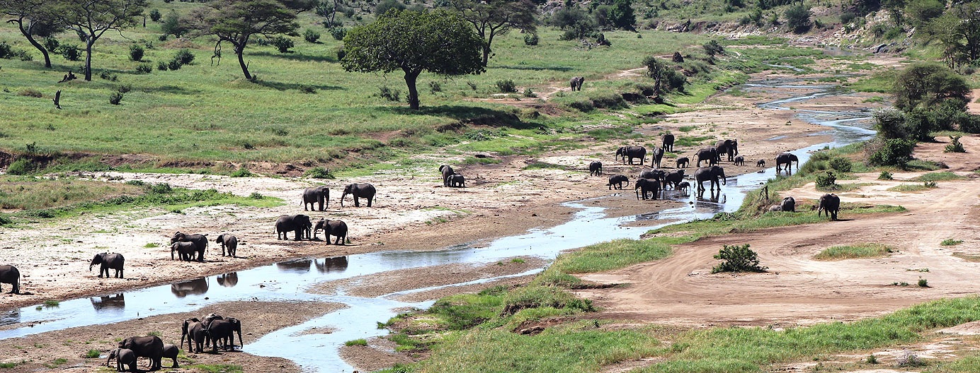 Tarangire National Park
