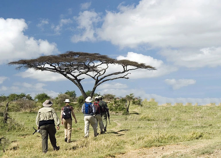5-Day Tanzania Trip to Tarangire, Serengeti & Ngorongoro Crater
